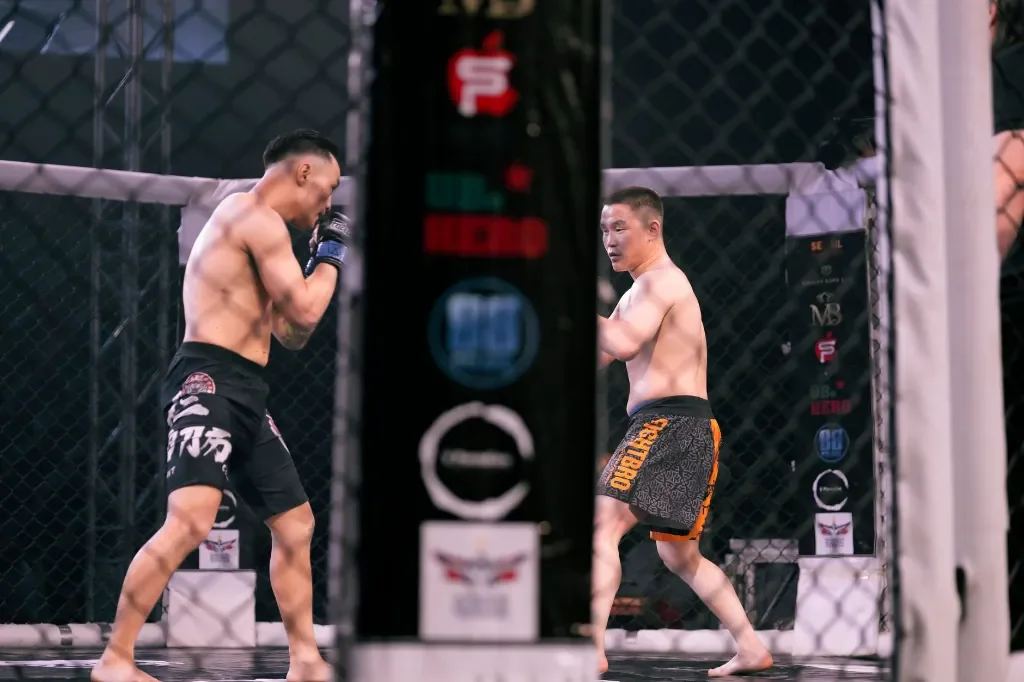Analiza walk KSW: jak oceniać pojedynki MMA